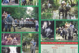 Elephant Trekking at Waterfall by Namuang Jungle