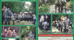 Elephant Trekking at Waterfall by Namuang Jungle