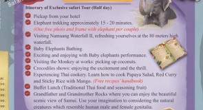 Namuang Exclusive Half Day Safari Tour